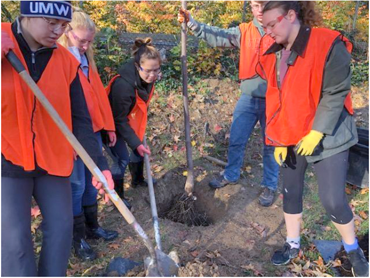 How do we raise environmentally literate kids? Dig into three of the benefits of engaging our youth. 1 University of Mary Washington students give back to the community by helping plant trees throughout the city by volunteering with Tree Fredericksburg. (Photo: Tree Fredericksburg)