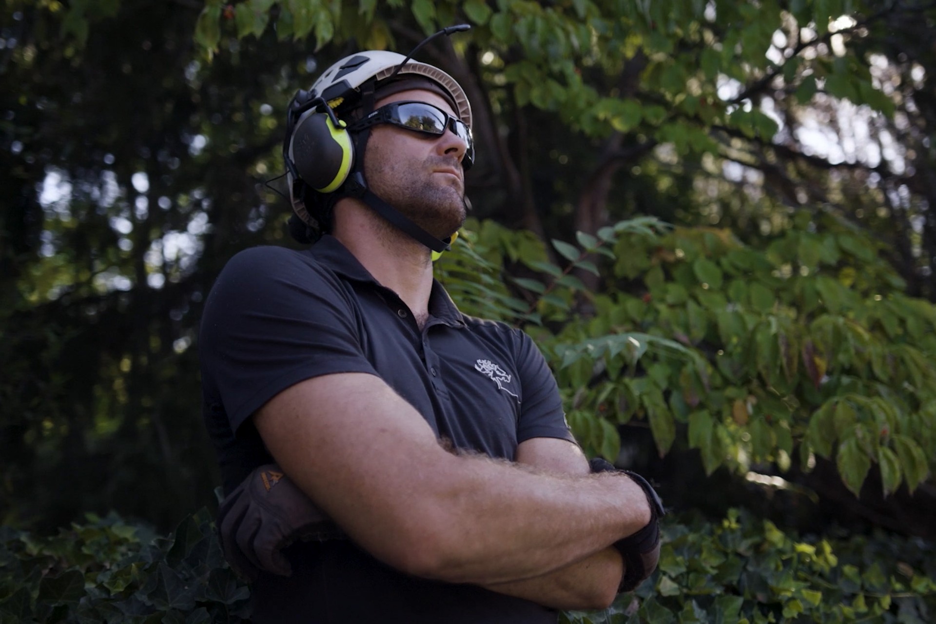 Thinking Through Timber