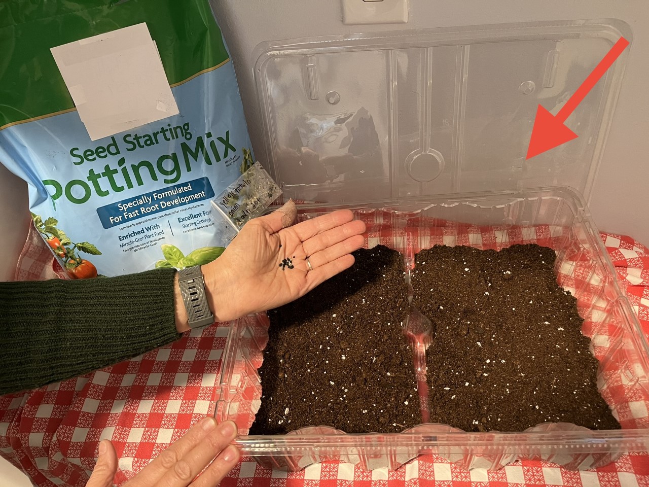 vhg winter sowing method onions