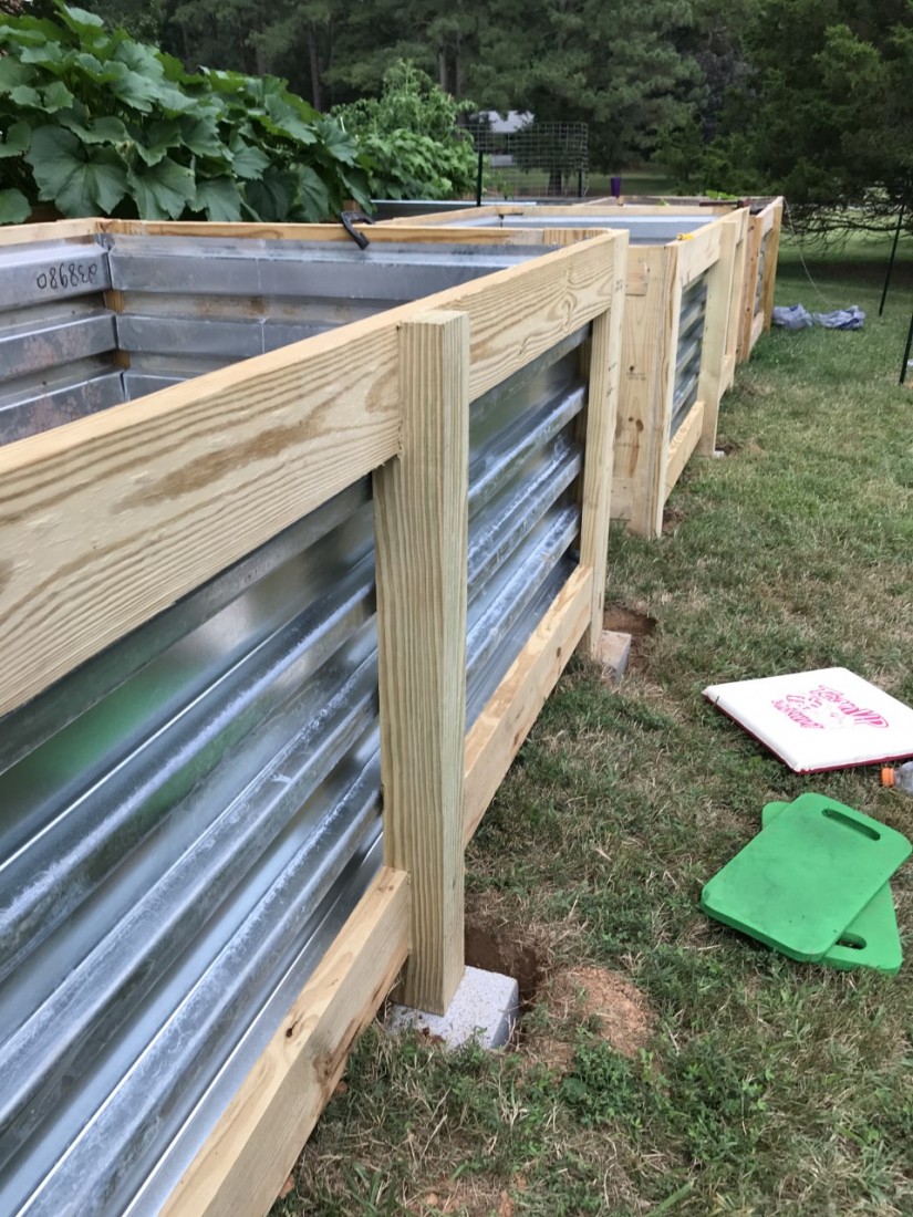 Managing Summer Pests and Planning for Fall 6 Raised beds can be built to any height, but keeping them four feet wide allows full access from the sides. (Photo: Peggy Singlemann)