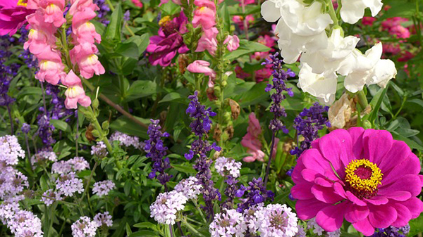 Falling into Winter 8 mixed flowers