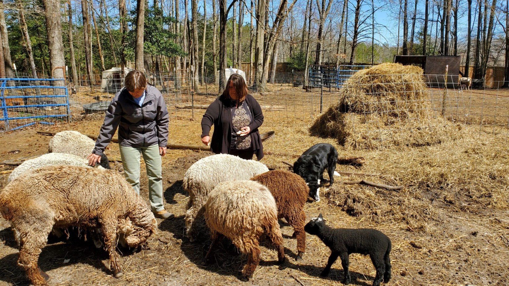Peggy Singlemann and Mary Murphy at Wandering Cow Farm (Image: VPM)