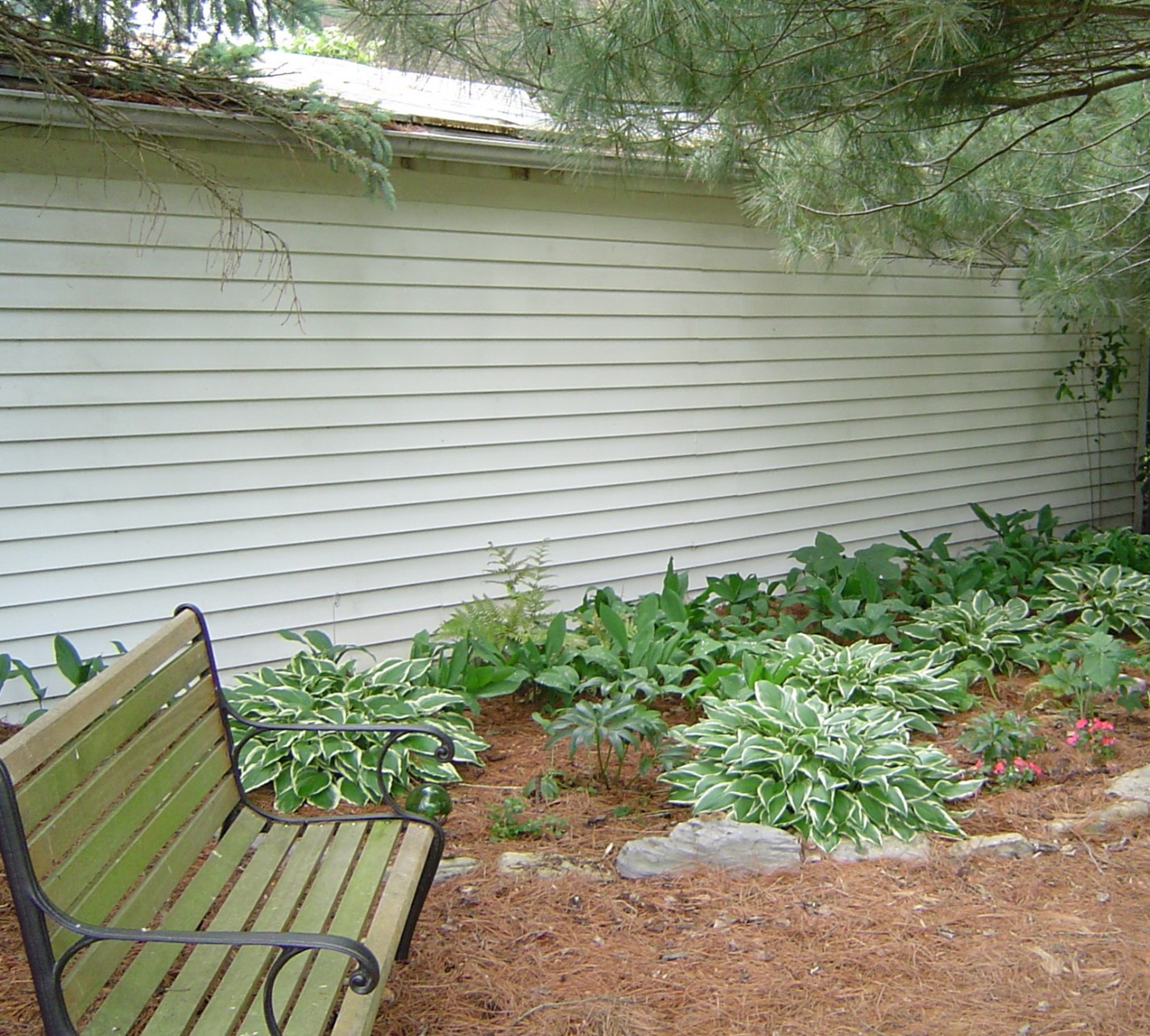 picture2