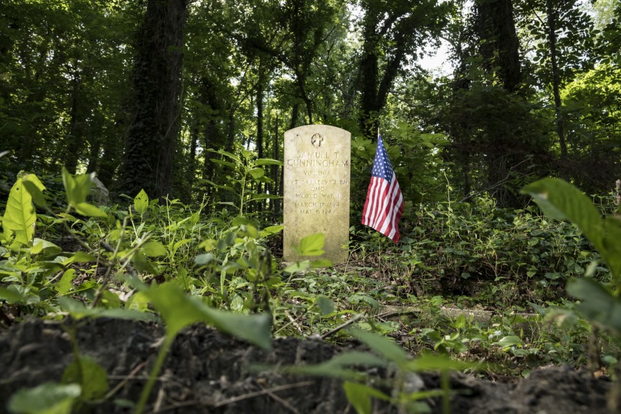 Artsline - Summer Music, Gardens, and Theatre in the RVA! 7 evergreen cemetery 4