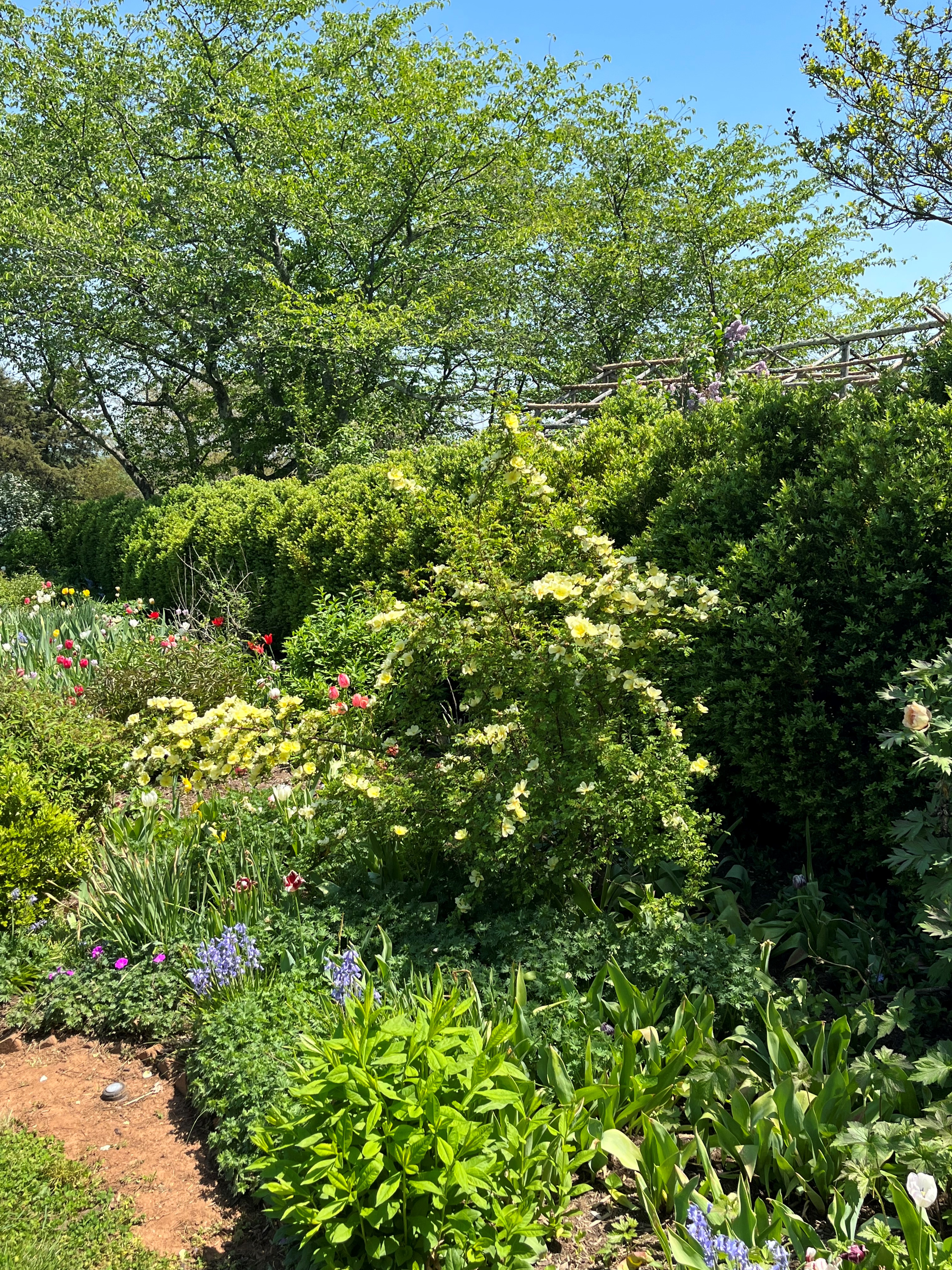 The Final Frost Date is Almost Here 2 Mix perennials and spring-flowering bulbs in the border, and then add summer color with bedding plants.