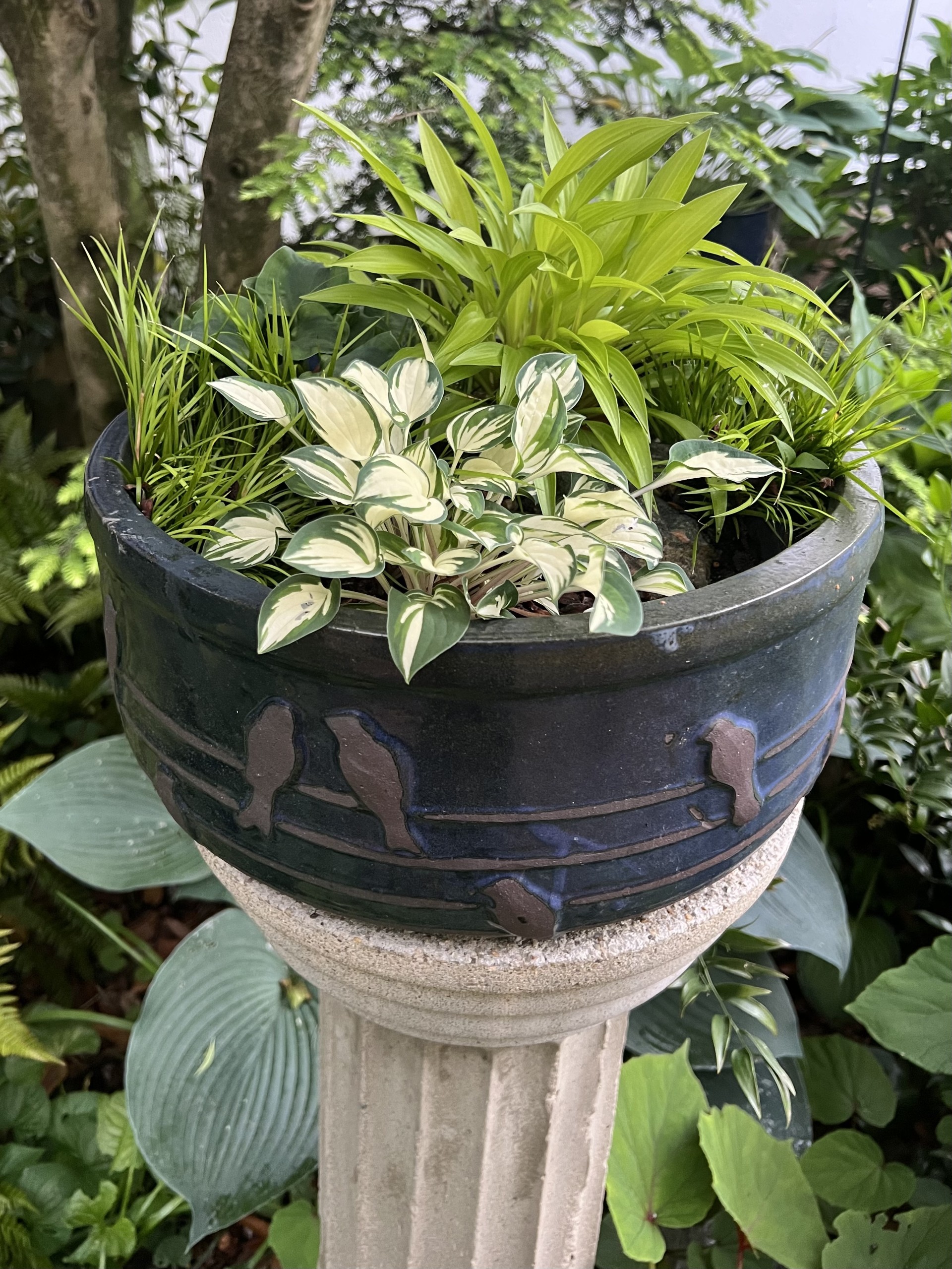 The Advantages of Gardening in Containers 2 thumbnail img 2831