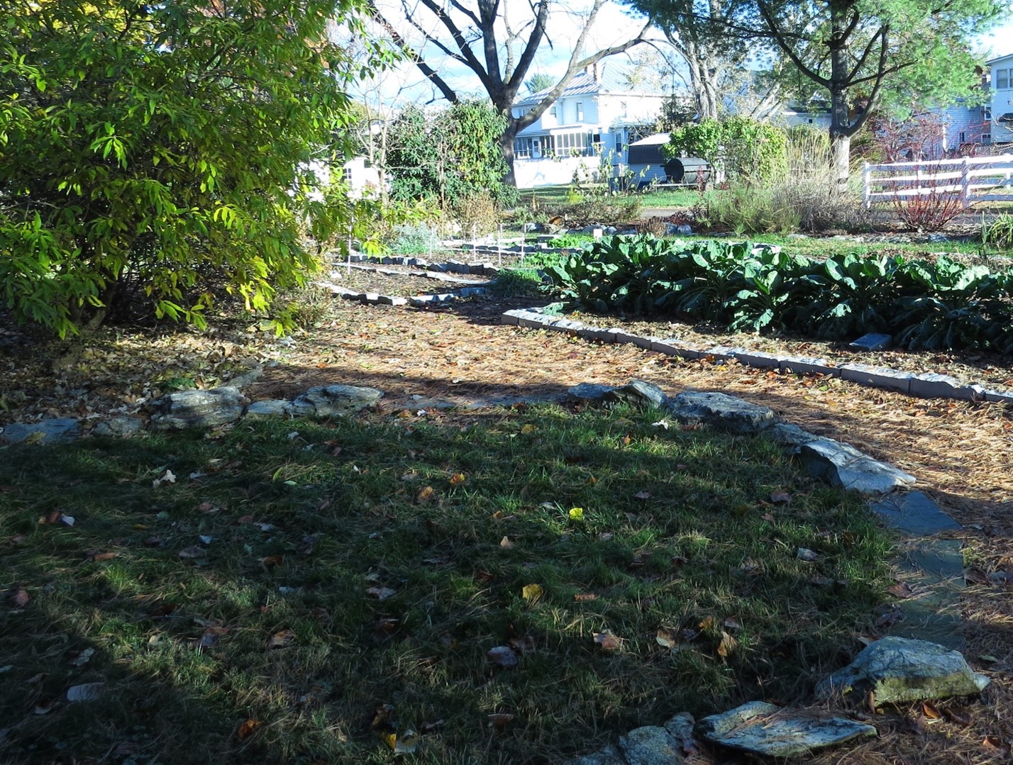 Robyn shares a look at her garden beds in the early fall.