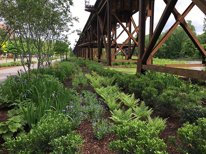 How do we raise environmentally literate kids? Dig into three of the benefits of engaging our youth. 2 Organizations like Capital Trees build, manage, and advocate for public landscapes in the City of Richmond. (Photo: Capital Trees)