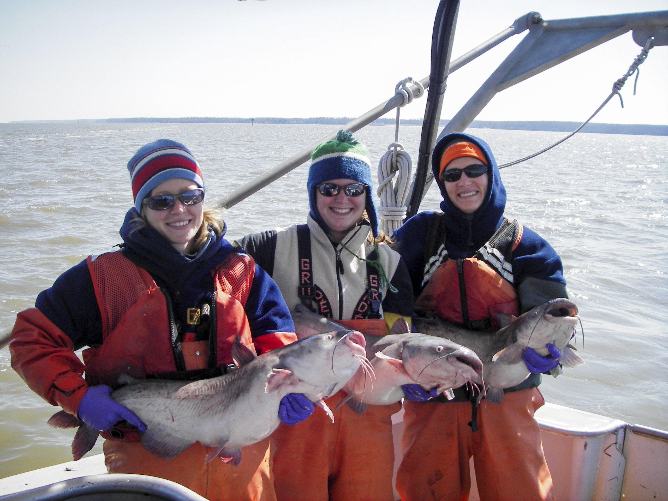 Virginia’s fishing industry has the blue catfish blues 1 Scientists from the Virginia Institute for Marine Science survey blue catfish in the Chesapeake Bay.