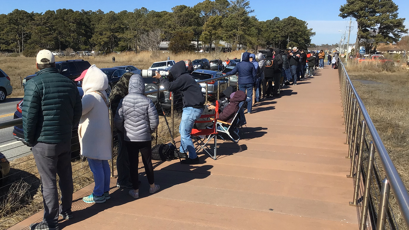 A traveler’s guide to rocket launches at Wallops Island 6 People lining the elevated walkway for the Antares/Cygnus launch.