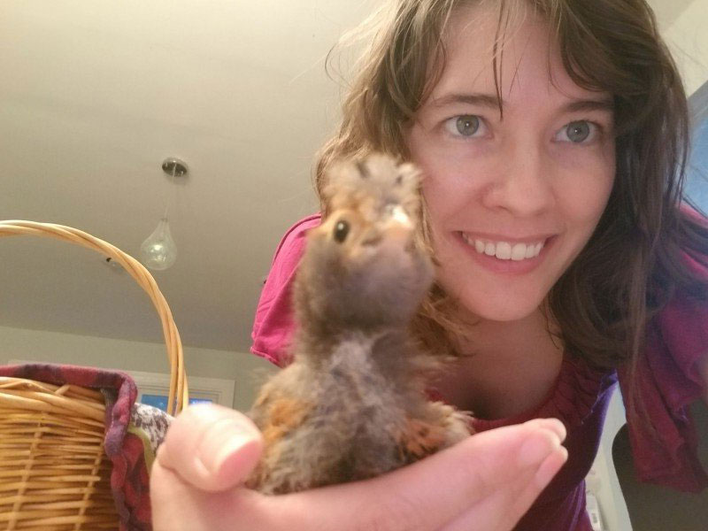 VPM Audio Diaries: Foster Parents Provide Stability During COVID-19 1 Lindsey Hershner holds one of the chicks they started raising. (Photo courtesy David Vinson)