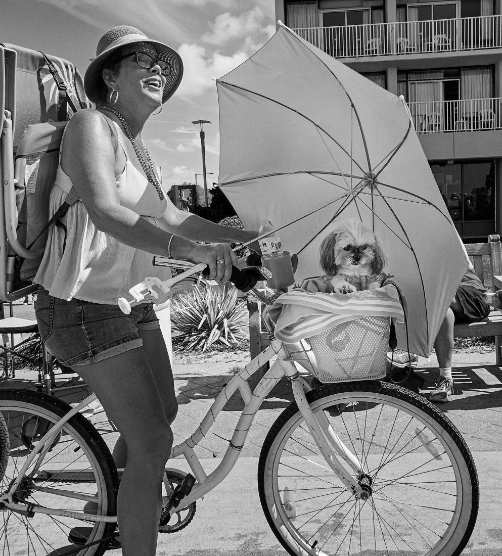 Ride-a-Long Pooch&nbsp;by Ed Tepper&nbsp;(Image used with permission)