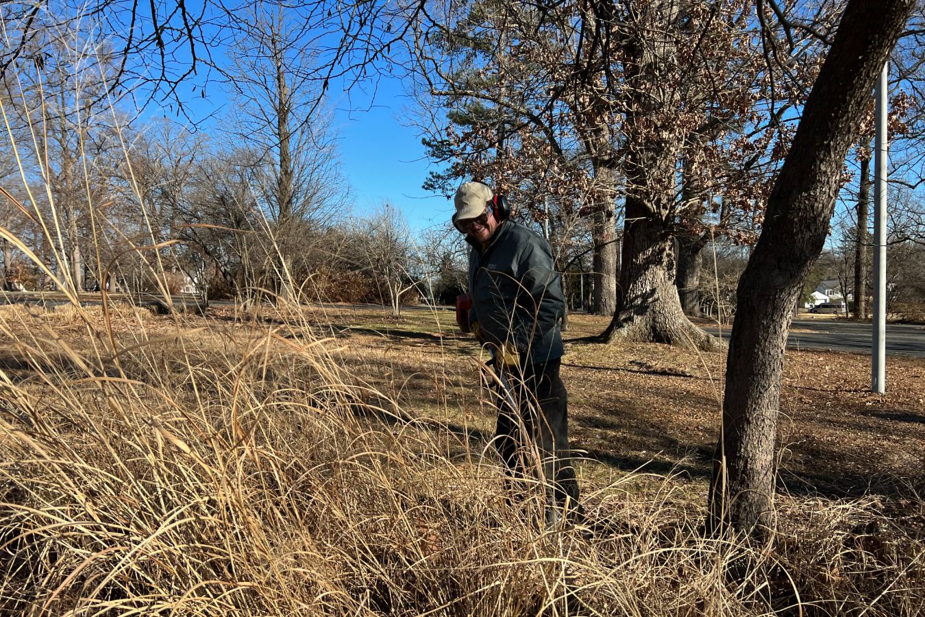Winter is the perfect time for Trimming, Weeding, and Houseplant Care 1 Mid-late winter is the best time to cut down ornamental grasses. (Photo: Courtney Coates, Horticulturist at Maymont)