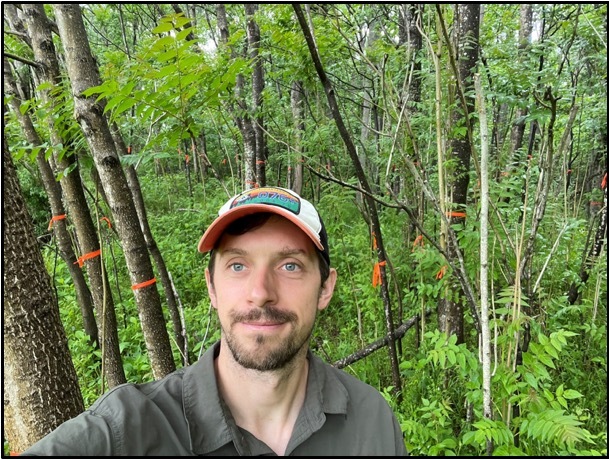 What’s being done to manage tree of heaven? 2 Virginia Tech Ph.D. student Tim Shively stands in a research plot. Shively inoculates ailanthus altissima with verticillium nonalfalfae, a fungus that kills the trees without negatively impacting native species.