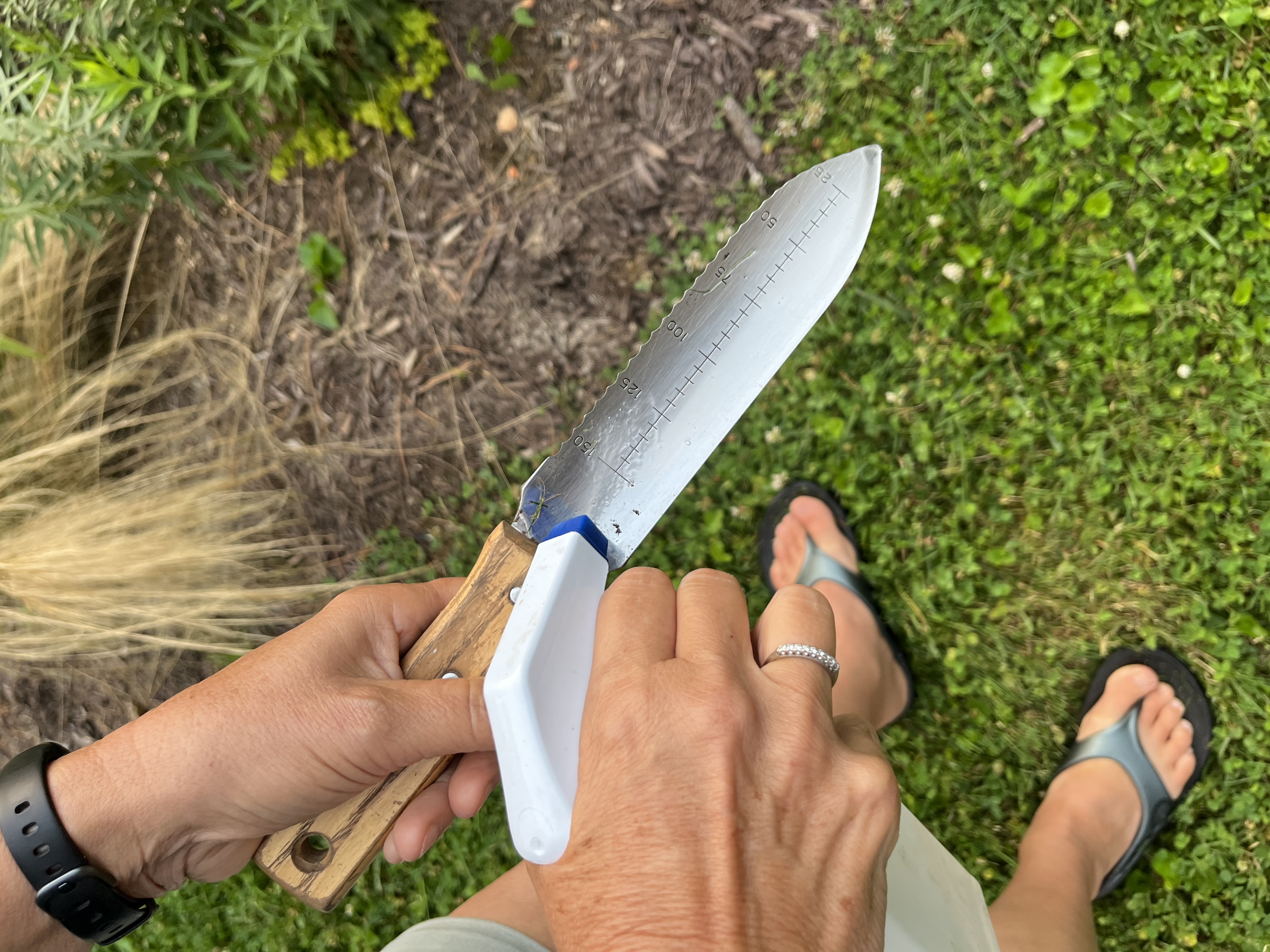 Protect your plants from diseases by sterilizing your tools before each use.