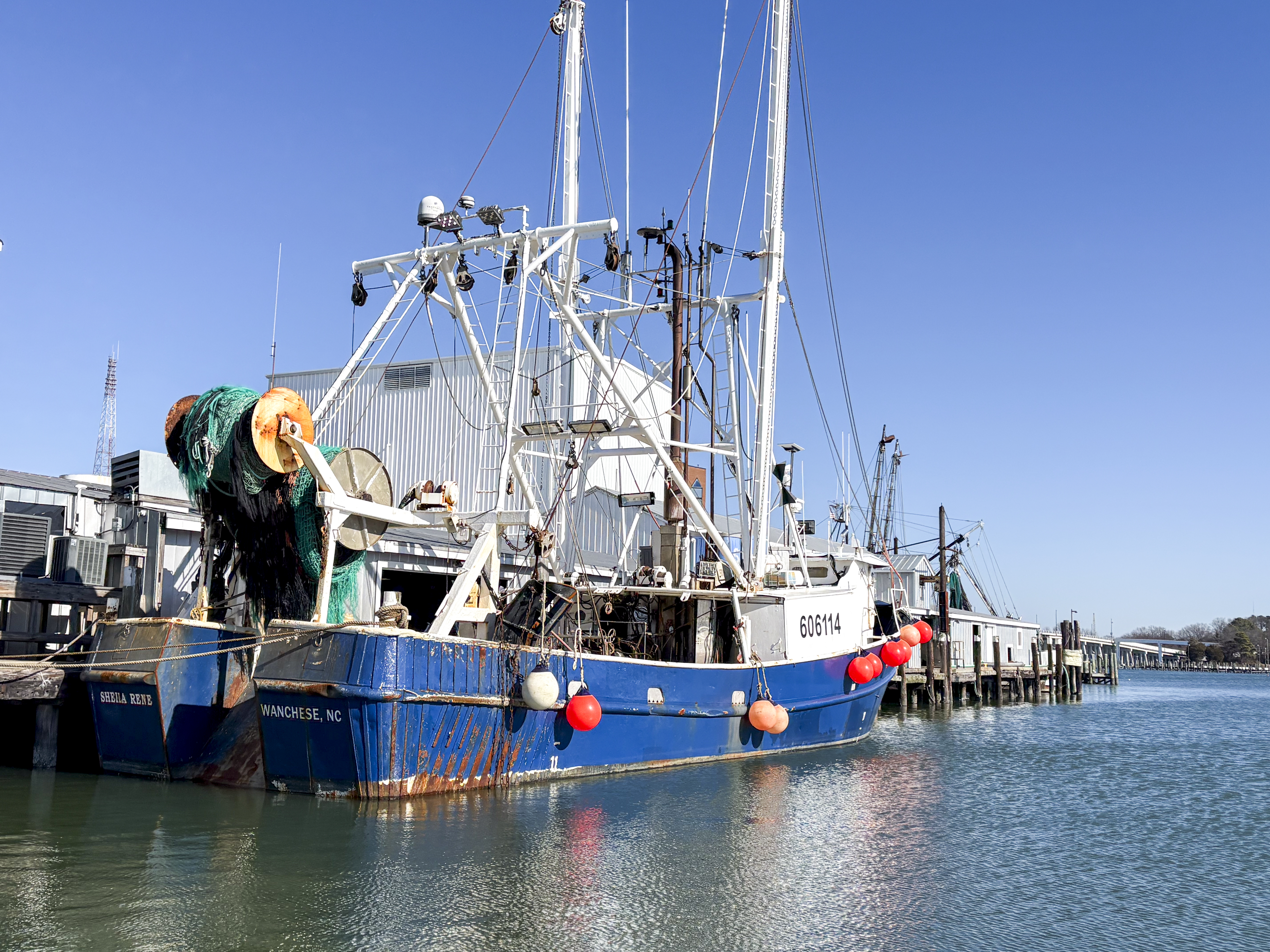 Virginia’s fishing industry has the blue catfish blues 2 A trawler docked along the Hampton River at Amory Seafood.