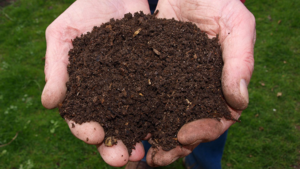 Falling into Winter 3 compost 0