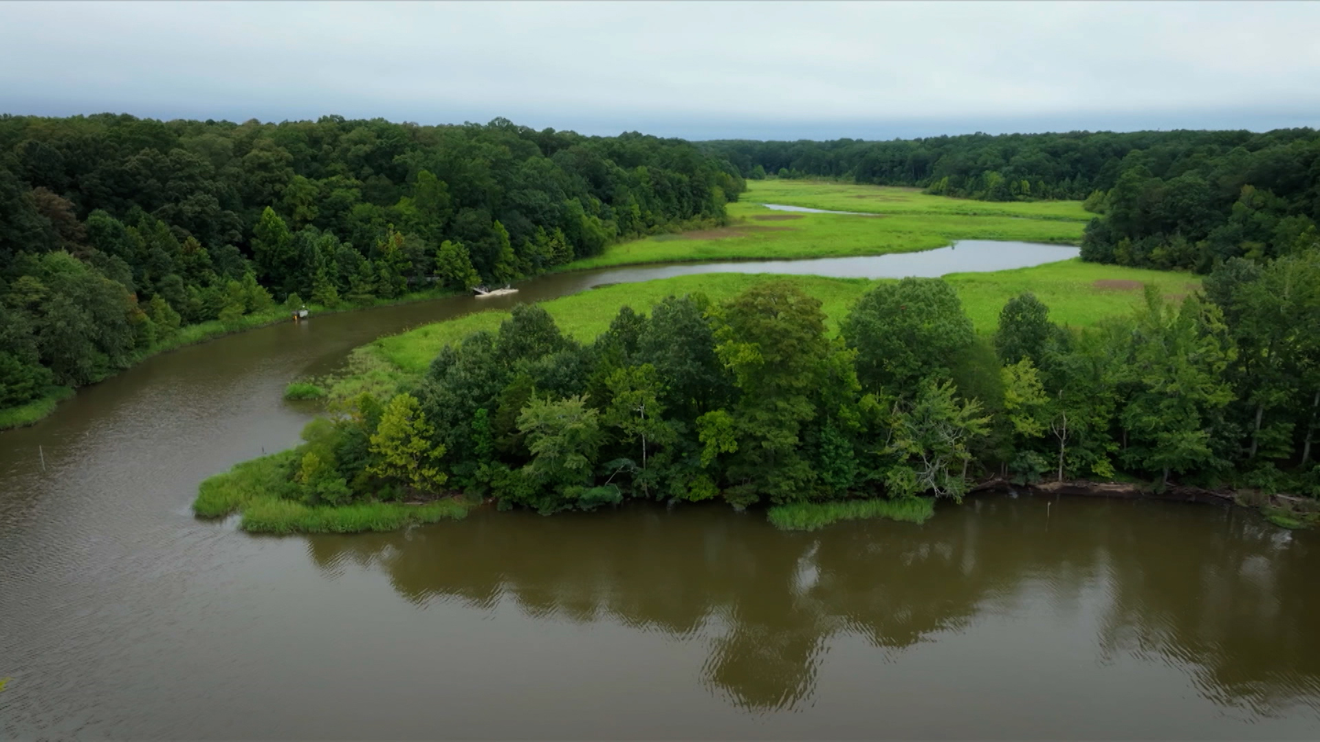 Explore the importance of plants to our waterways!