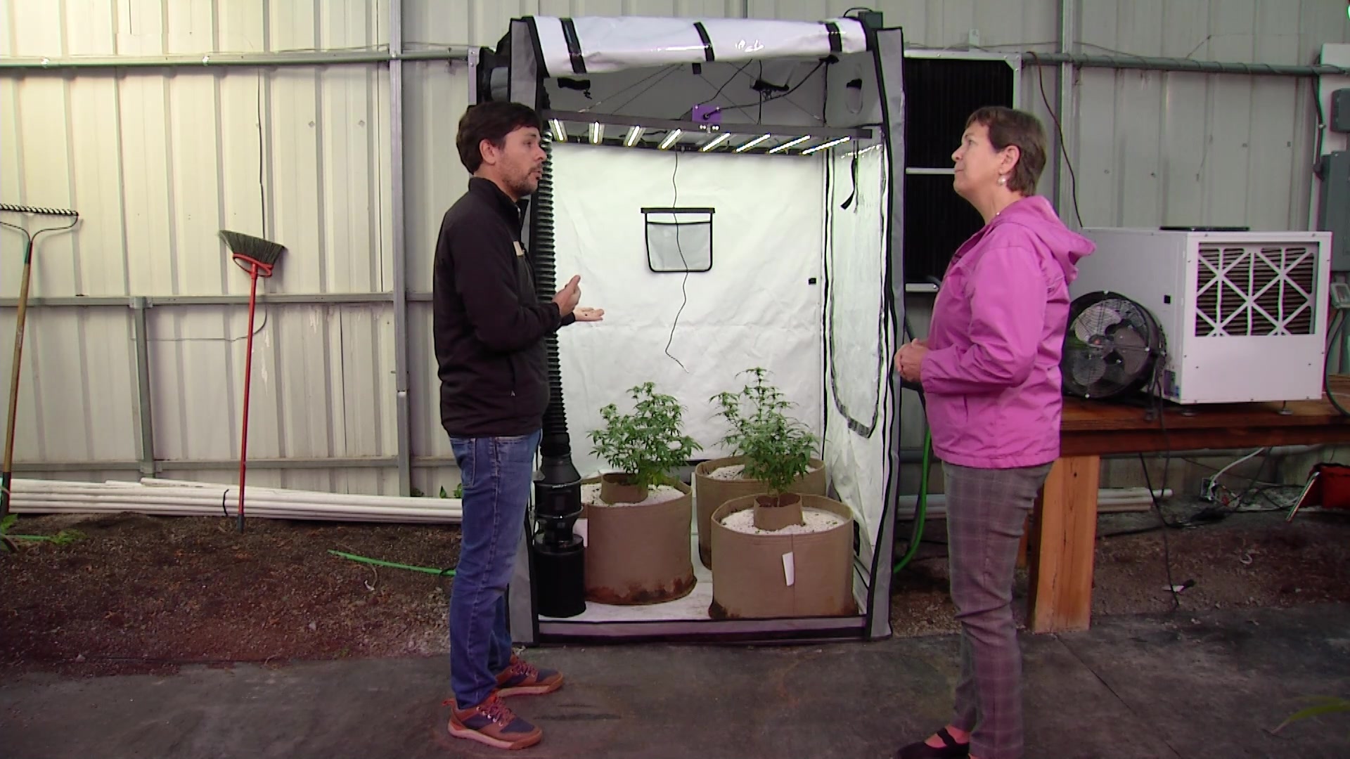 Bringing the garden inside 1 204b