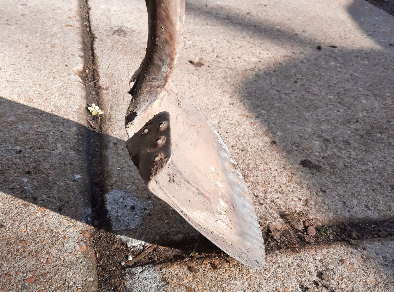 Winter is the perfect time for Trimming, Weeding, and Houseplant Care 4 For ease of use, look for a wide step when purchasing a round point shovel. (Photo: Peggy Singlemann)